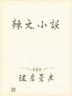 辣文小说