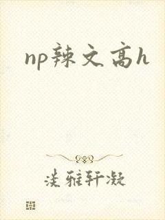 np辣文高h