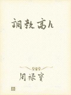 调教高h