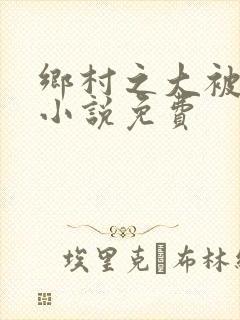 乡村之大被同眠小说免费