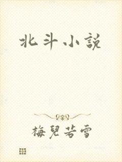 北斗小说