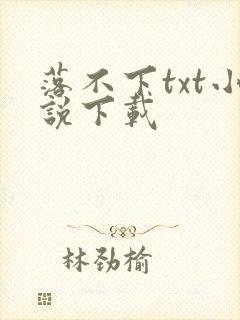 落不下txt小说下载