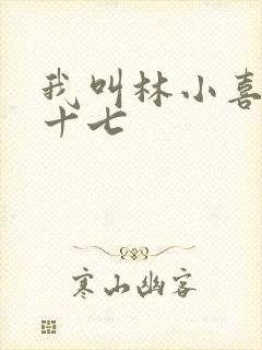 我叫林小喜今年十七
