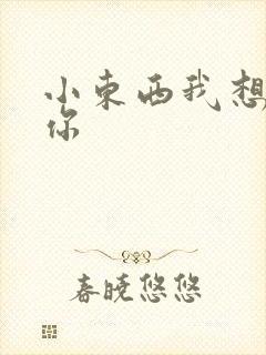 小东西我想弄坏你