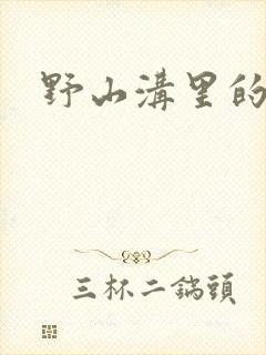 野山沟里的村庄