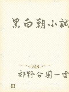 黑白朝小诚