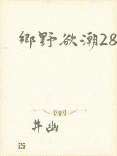 乡野欲潮28章