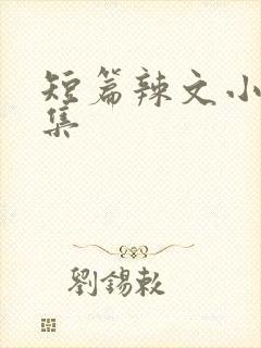 短篇辣文小说合集