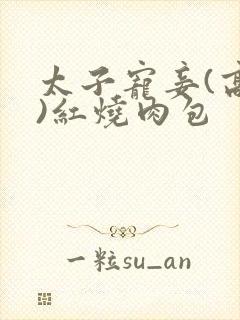 太子宠妾(高肉)红烧肉包