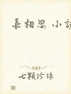 长相思 小说