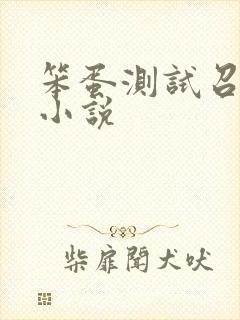 笨蛋测试召唤兽小说