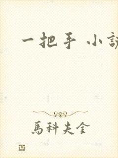 一把手 小说