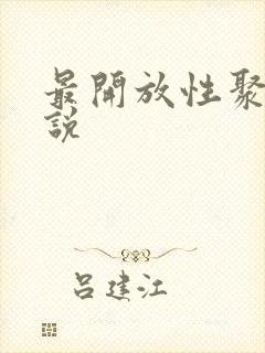 最开放性聚会小说