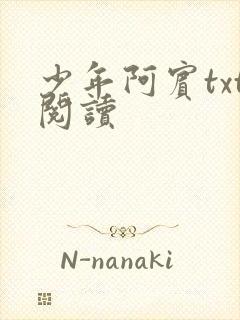 少年阿宾txt阅读