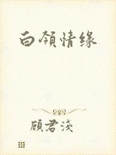 白领情缘