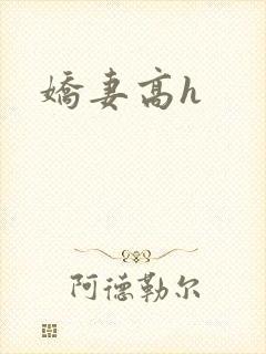 娇妻高h