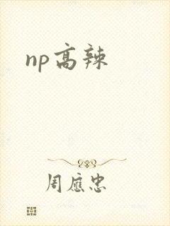 np高辣