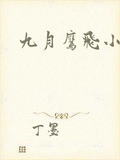 九月鹰飞小说