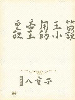 皇帝用玉笛整摄政王的小说