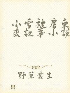 小雪被房东的好爽故事小说