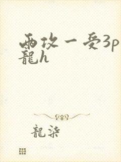两攻一受3p双龙h