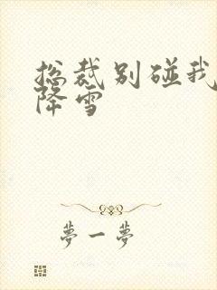 总裁别碰我 韩降雪