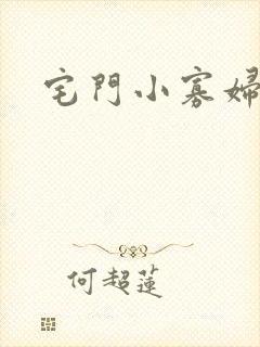 宅门小寡妇