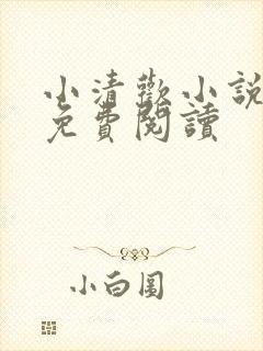 小清欢小说全文免费阅读