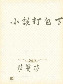 小说打包下载