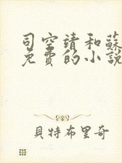 司空靖和苏月汐免费的小说笔趣阁