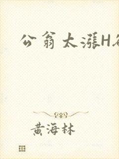 公翁太涨H欲渴