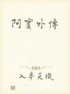 阿宾外传