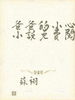 爸爸的小心肝儿小说免费阅读