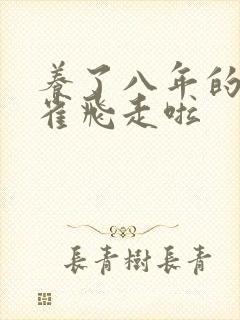 养了八年的金丝雀飞走啦