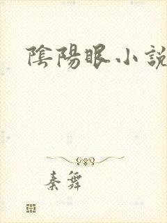 阴阳眼小说
