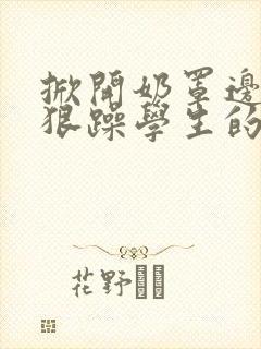 掀开奶罩边躁狠狠躁学生的小文字