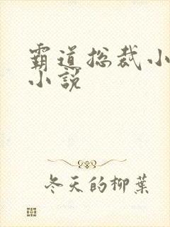 霸道总裁小娇妻小说