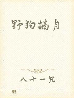 野狗摘月