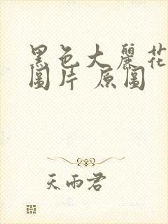 黑色大丽花真实图片 原图