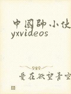 中国帅小伙gayxvideos