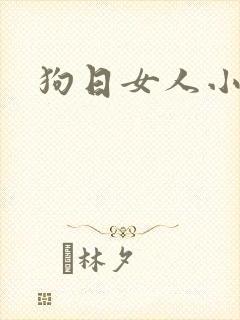 狗日女人小说
