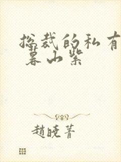 总裁的私有宝贝 暮山紫