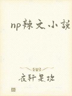 np辣文小说