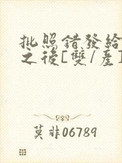 批照错发给情敌之后[双/产]