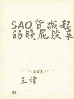 SAO货撅起你的贱屁股来