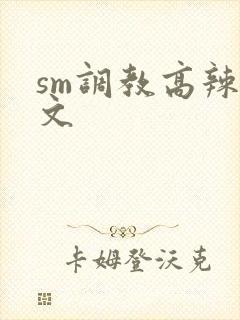 sm调教高辣h文
