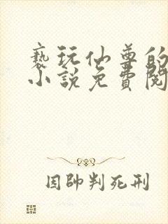 亵玩仙尊的道侣小说免费阅读