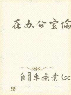 在办公室伦流澡