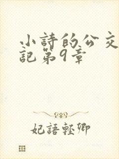 小诗的公交车日记第9章