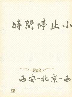 时间停止小说